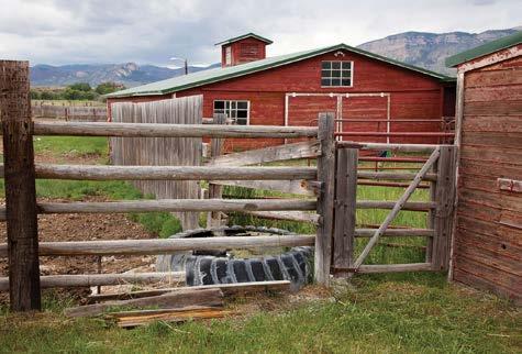 ANCILLARY OUTBUILDINGS: There are several smaller stock buildings,