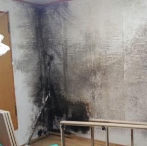 However, damages caused by condensation and mold account for 16% of disputes in Korean multifamily buildings in recent years.