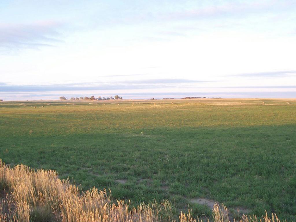 SIZE & DESCRIPTION Situated in the heart of Goshen County, the 560 acre Pheasant Ridge Farm consists of approximately 300± acres of productive irrigated ground and 260 acres of native grass pasture.