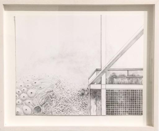 Pencil on Paper 12 x 9" (Framed) $1700