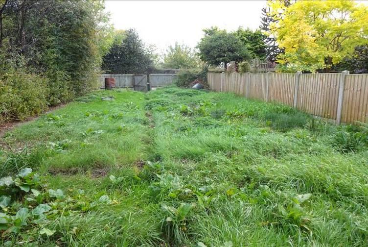 The front gardens currently offer large lawns with mature and overgrown borders and trees.