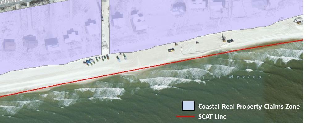 Areas directly intersected by the portions of shoreline assessed by SCAT teams ( SCAT Line ), regardless of whether or not the presence of oil was reported on that portion of the SCAT Line are