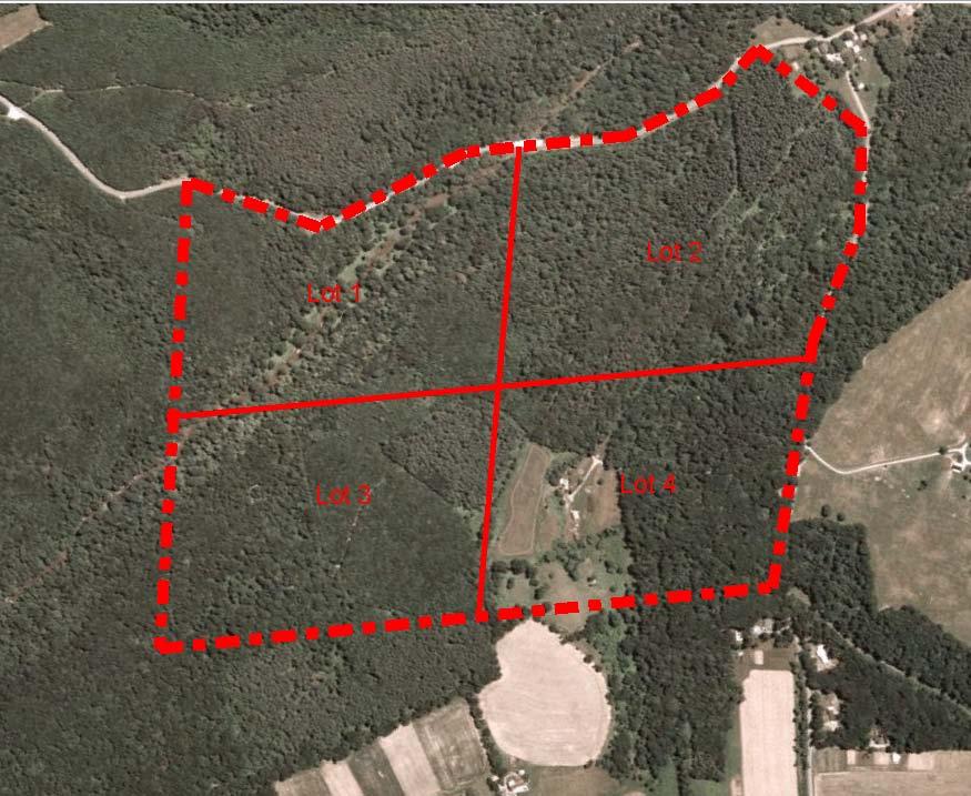 Rezoning Incentive Example Conventional RC-2 Development Four, 50- Acre Lots; 100% of Forest On Preservation