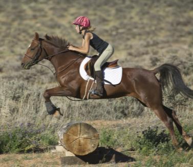 Definitions and Allowed Uses Riding Lessons or Other Training Activities If your business plan includes offering riding lessons, you will want to make sure that the specifics of your school are