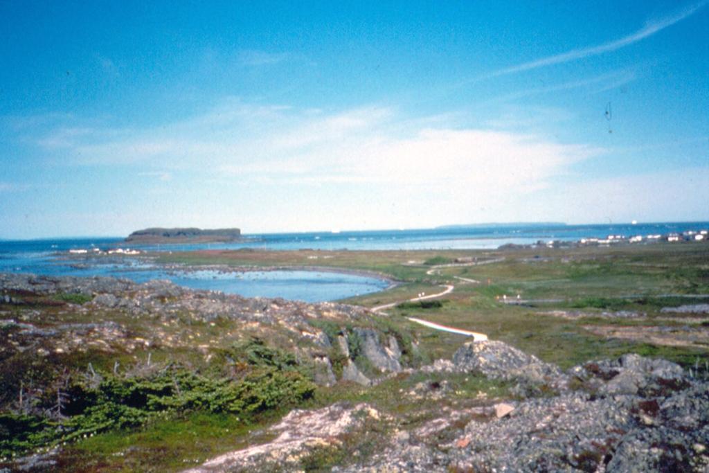The initial excavations at L Anse aux Meadows were directed by his wife, Anne Stine Ingstad, in the years 1961 to 1968.