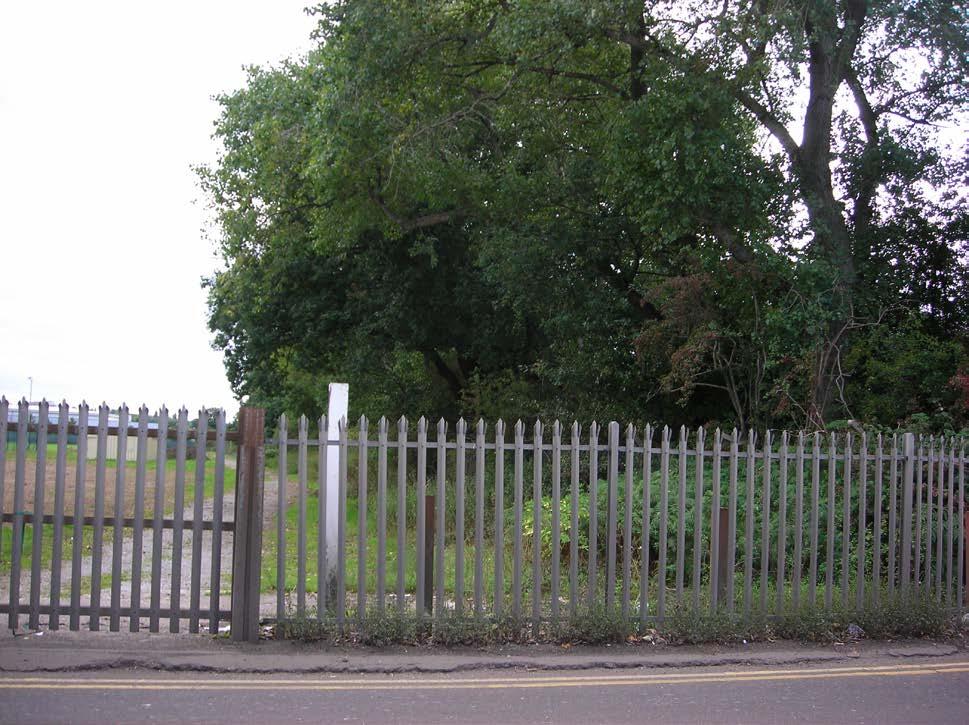 site frontage with trees and