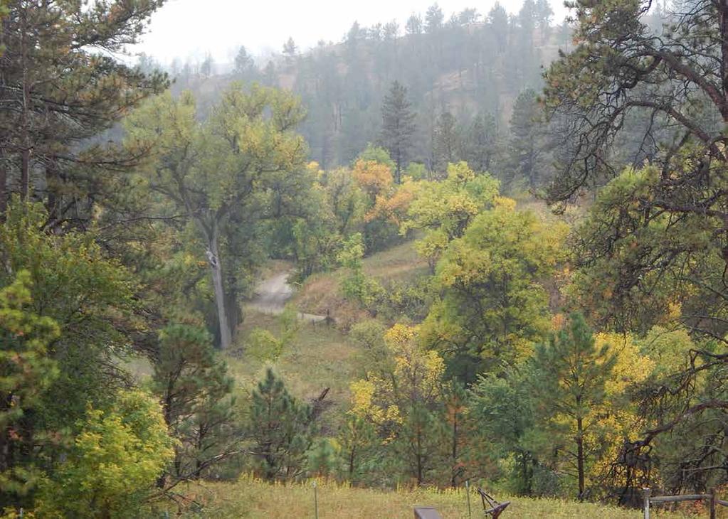 DESCRIPTION OF THE LAND AND ELEVATION The Canyon Ranch consists of heavily-sodded grass pastures and pine-covered hillsides at an elevation of approximately 4,800 ft. above sea level.