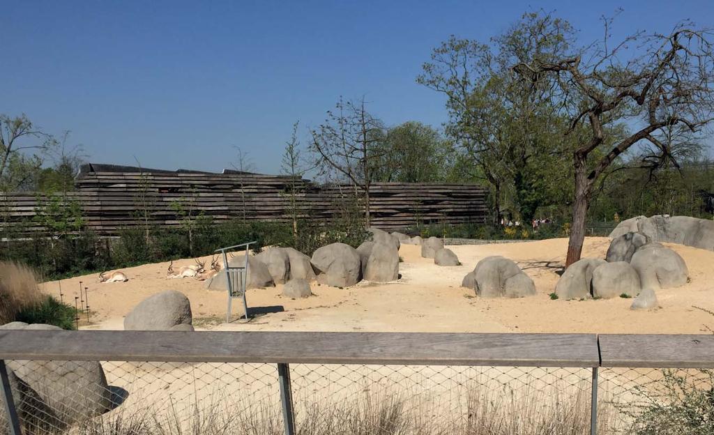 CULTURAL INFLUENCE EUROPE Paris Zoo de Vincennes Paris Zoo dan