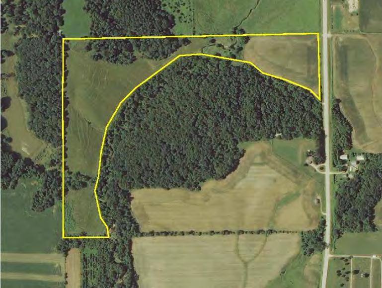 Aerial Photo: Parcel 2 Dead Wood Easement The neighbor across the road has a lifetime access to dead wood. The neighbor rarely comes on the property and needs to call prior to entering the farm.