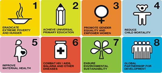 Millennium Development Goals The World s