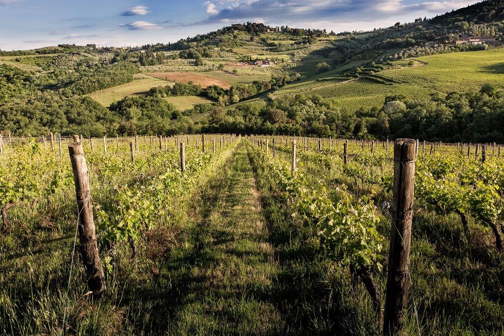 C H I A N T I, T U S C A N Y About 5 kilometres from Vignamaggio, is a clearing surrounded by oak forests and vineyards, a charming peaceful oasis we