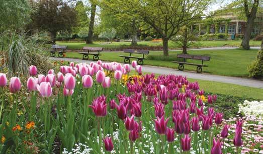 RHS Garden Harlow Carr and The Stray (some 200 acres of