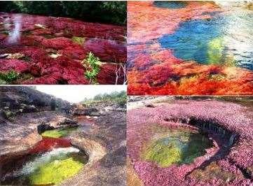Cristales "The River of Five Colors" Sierra