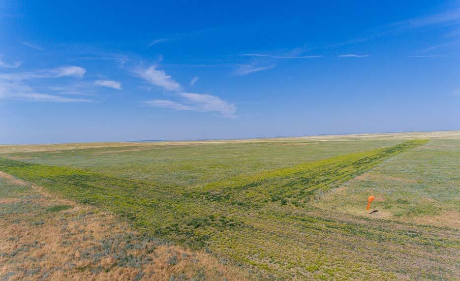 SIZE & DESCRIPTION The historic Muleshoe Land & Cattle Ranch is a well-watered, highly productive, low overhead farm and grass ranch located in southeastern Wyoming.