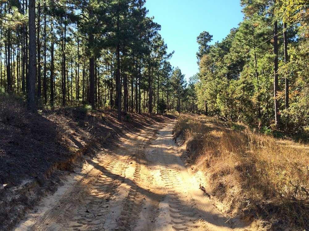 OVERVIEW: This 238 acre tract is near the Carolina Sandhills National Wildlife Refuge and is located just minutes from Lake Robinson boat landing, 15