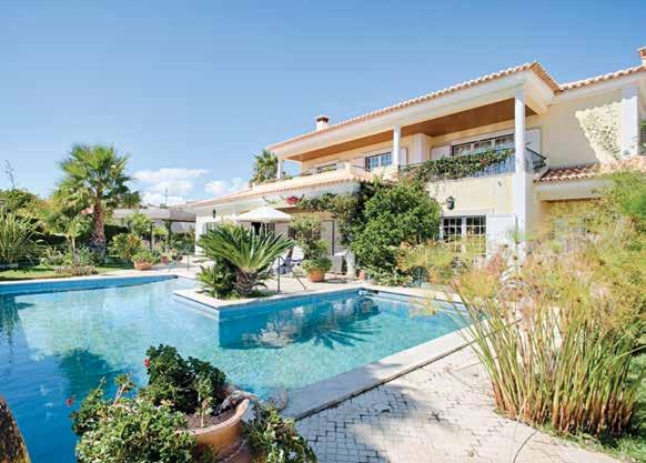 terrace Garden and swimming pool with plenty of privacy