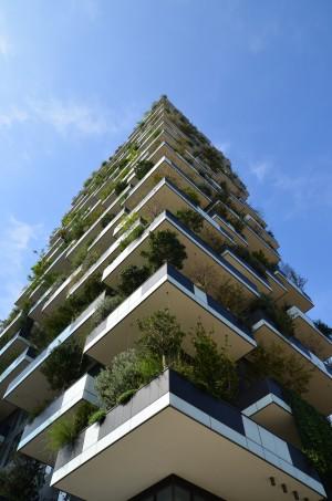 Milan The main feature of this project is about green planning: over 900 species of trees (500 in the first tower, 350 in the second one) will grow on the 8900 sqm of terraces It has
