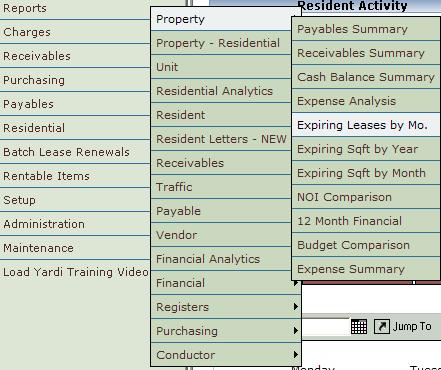 Echelon Property Group Page 151 Yardi Reporting Guide Yardi Reporting Guide This guide is an overview of reports that are available