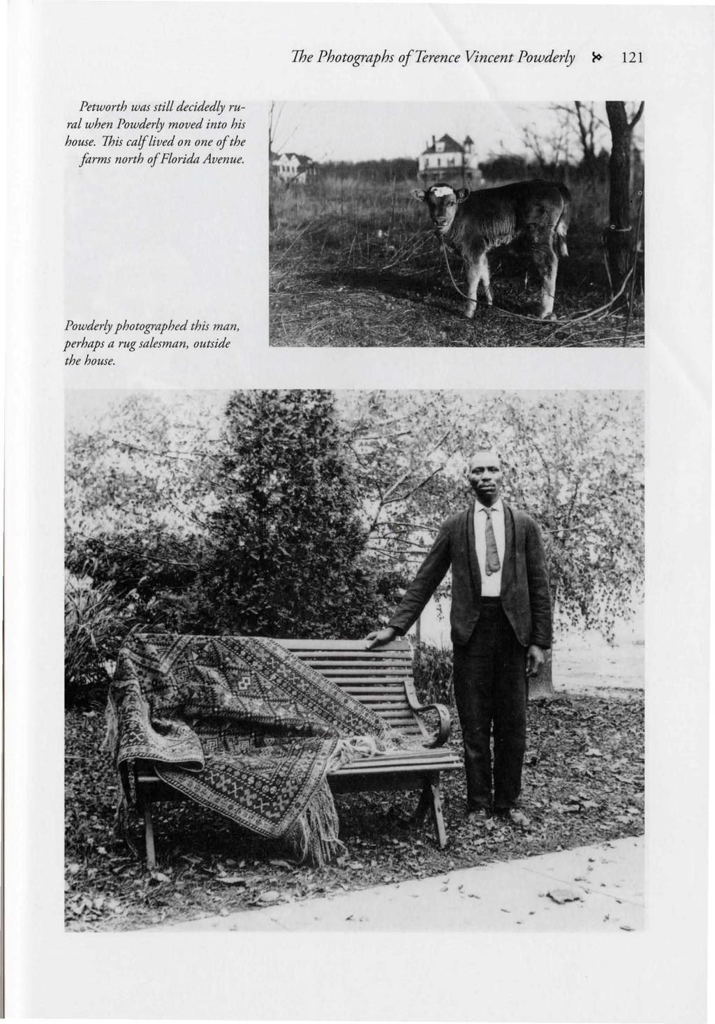 The Photographs of Terence Vincent Powderly ~ 121 Petworth was still decidedly rural when Powderly moved into his house.