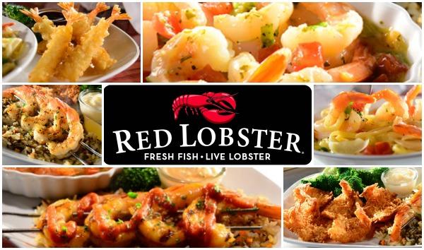 Investment Overview Executive Summary Investment Highlights Property Name Location Red Lobster 1805 Opelika Highway Auburn, AL 36830 Price $3,052,878 CAP Rate 5.