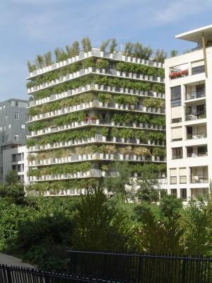 Niemeyer government, office 5 Paris, Renzo Piano