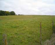 The pasture land is open and suitable for row crops and the fertile soil