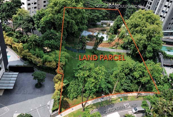 Analysts are expecting bullish bids for the Fourth Avenue site, which is adjacent to the Sixth Avenue MRT station and in the established residential estate of Bukit Timah.