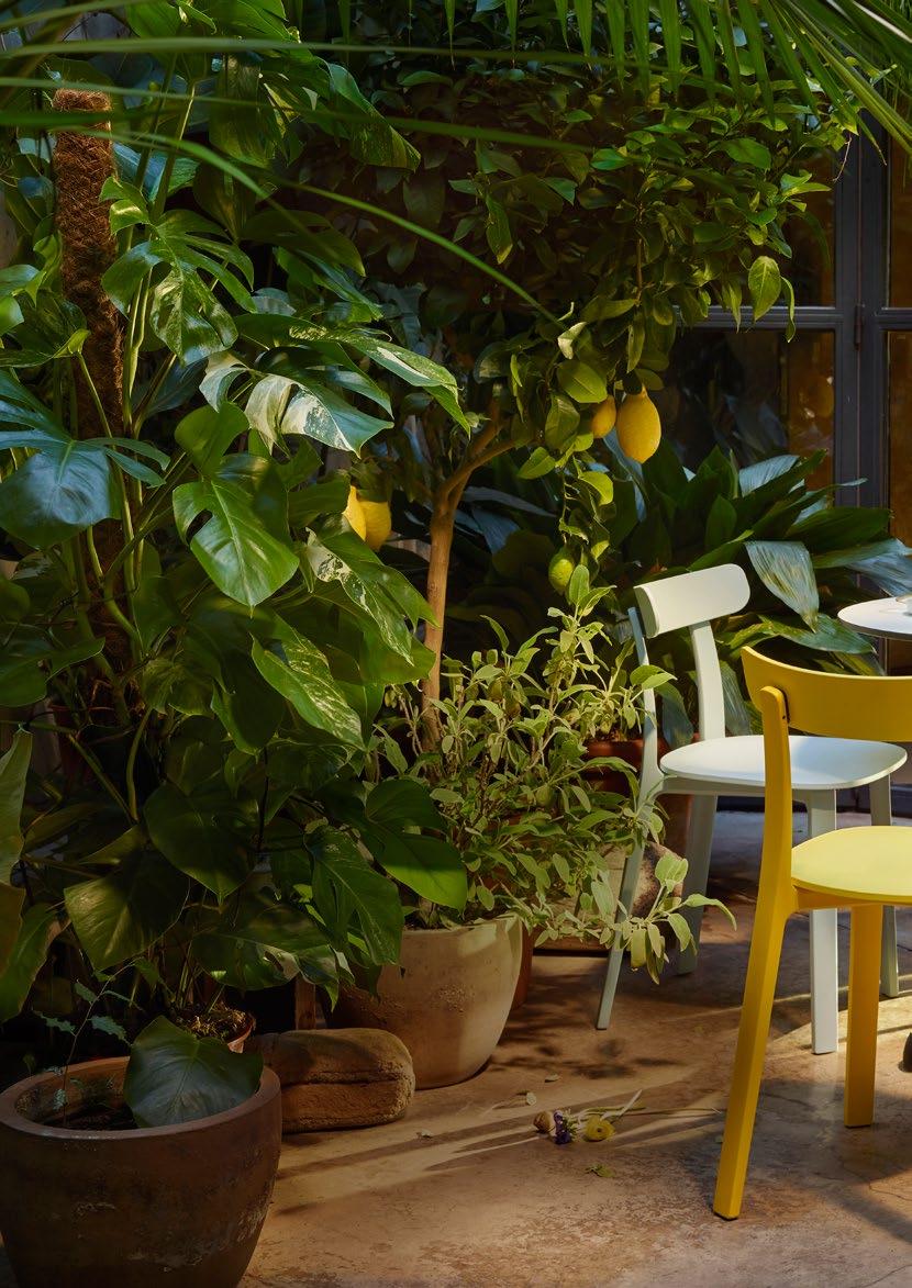 GB/EN Share your secret garden with us Visit your Vitra dealer, discover the secret garden and take a picture.