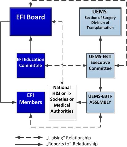 Relations between EFI and UEMS