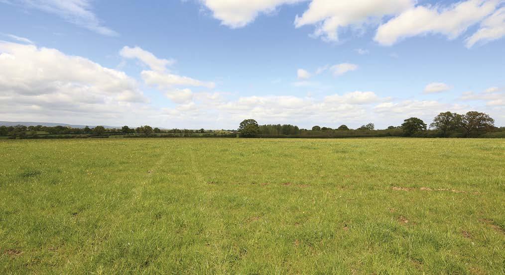 Feedhouse comprising 2 boxes, feed room and store 2 x mobile homes offering grooms accommodation LAND & WOODLAND Surrounding the property and buildings is approximately 116 acres of mainly level,