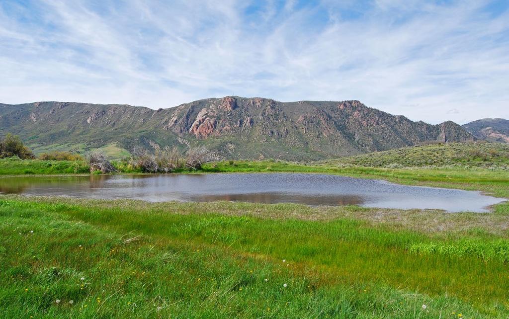 CIMARRON CERRO RANCH CIMARRON, COLORADO 1,163± TOTAL ACRES $1,895,000 Cimarron Cerro Ranch is an excellent grazing ranch made up of 1,163 acres and is conveniently located 20 minutes east of Historic