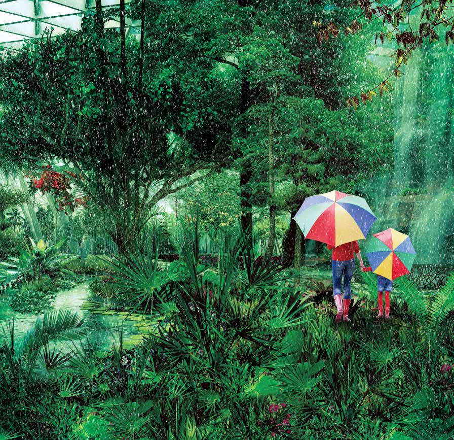 DUBAI s first rainforest Our tropical rainforest is a living, breathing ecosystem, where fresh rainfall nourishes the diverse range of plants and trees every day.