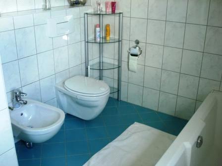 room modern bathroom with bath tub, shower / WC, bidet radio, television