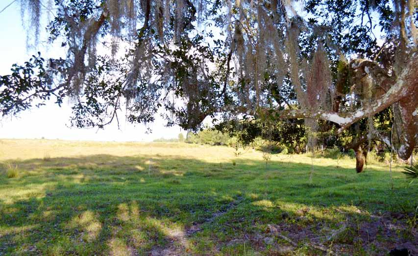 The property has historically been used for agriculture, citrus grove, farming, cattle grazing, recreation, and hunting, Crossed by Charlie Creek, Fish Branch, and two smaller creeks, the land is