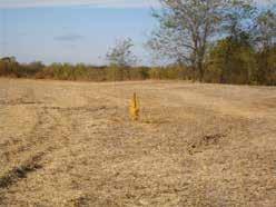 property 30 tillable acres on