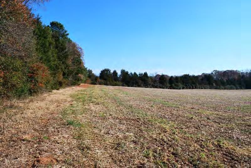 OVERVIEW: This beautiful 60 acre agricultural tract is located on Eastview Drive approximately six miles outside of Pendleton, SC.