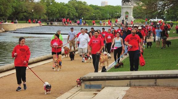 PARKSIDE / SPRING 2015 Hundreds of furry paws padded alongside their owner s feet as the Hermann Park Dog Walk wound around McGovern Lake and the Jones Reflection Pool.