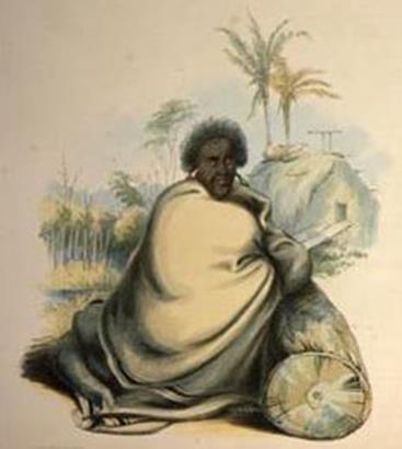 Protecting and supplying the new settlement of Auckland Te Hokioi 1849 Governor Grey requested Pootatau to provide military protection for the new