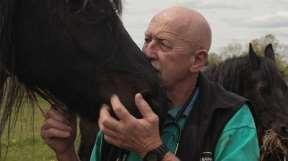 Informational Facts Dr. Pol speaks 4 fluent languages English, Dutch, French, and German. When Dr.