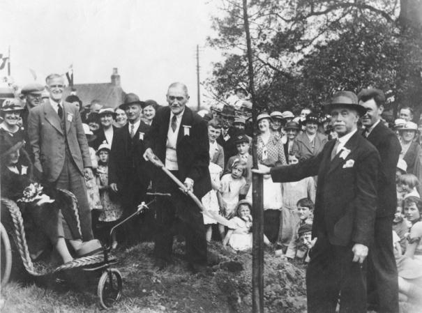 Sir Algernon and Lady Firth assisted by Herbert plant a tree on the village green.