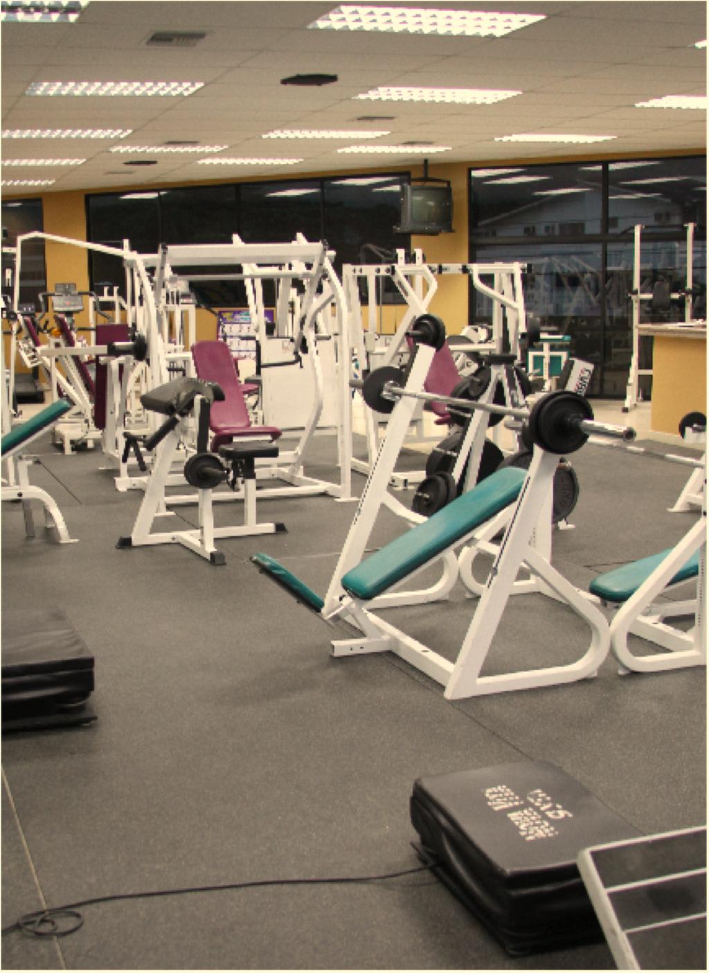 Currently, this is our state-of-the-art gym with high-tech equipment, vibration plates, and machines that have