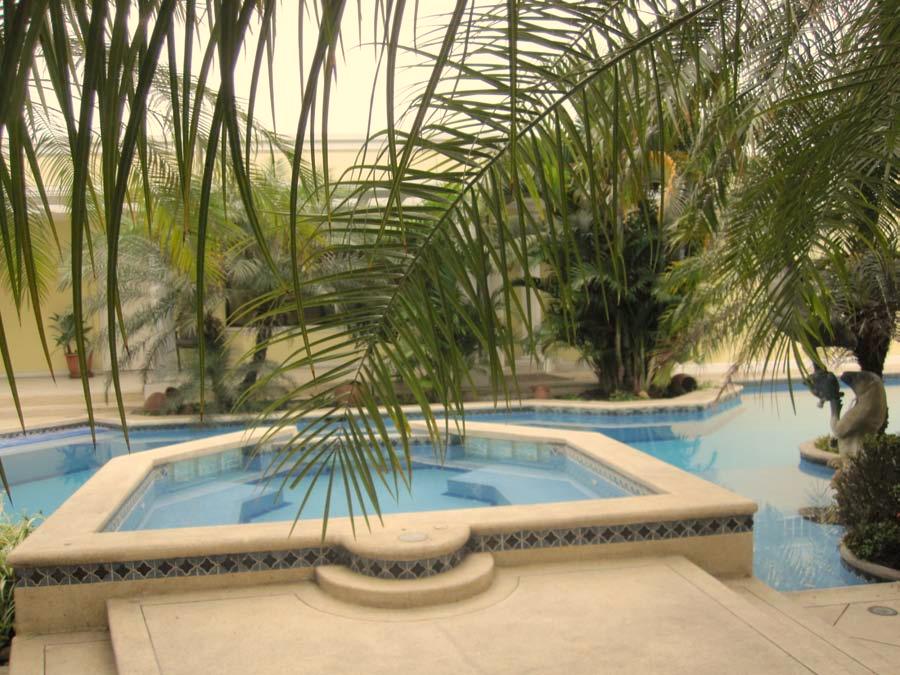Swimming Pool and Jacuzzi Hot Tub The pool has been well cared for by a weekly cleaning service and the grounds are