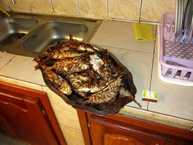 The grilled fish,
