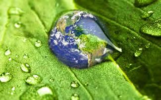 1.Purpose RICS recognises the impact of buildings and their use on the environment and on their occupants.