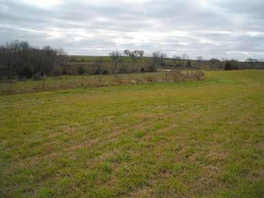 PHOTO GALLERY Tract 3, The South End along Shelby Rd This 61 acre m/l parcel is terraced and contains 50.