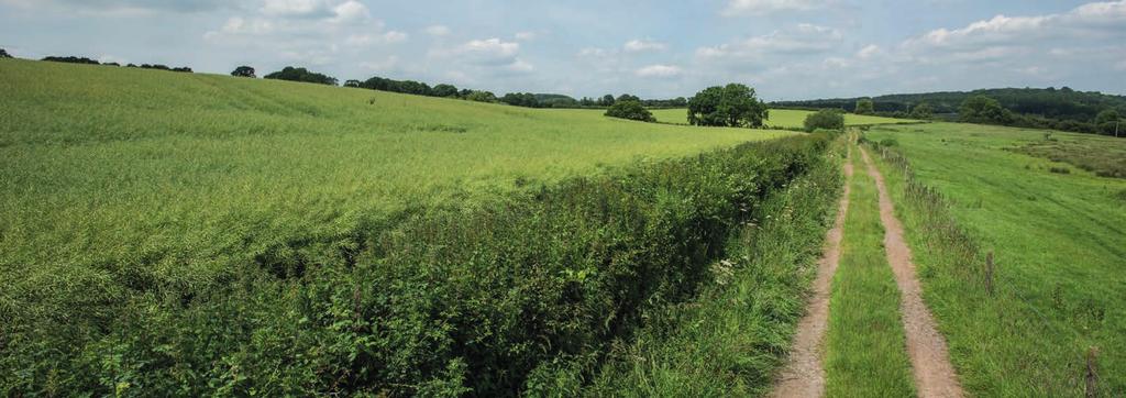 47 ACRES OF ARABLE AND PASTURE LAND Lot 7 comprises about 56.