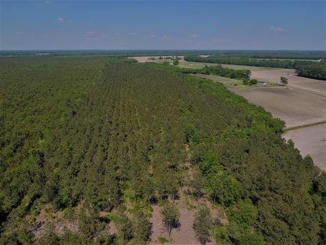 OVERVIEW: Small acreage timber investors, this tract is for you!