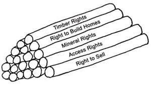 BUNDLE OF PROPERTY RIGHTS Landowner bundle of rights: right to occupy, sell, lease, exclude others, develop, subdivide, harvest timber, farm, construct buildings, etc.