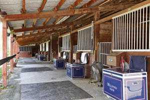 Main barn has 24 stalls, 2 grooms apartments, hay room, feed room, 2