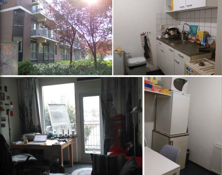 UILENSTEDE 102 SHARED ROOMS Rental price 372-386 per month Average price: 377 per month 2 Kitchen Shared with 1 same gender student Shared with 1 same gender student 16,5 m2 (without balcony) 23 m2